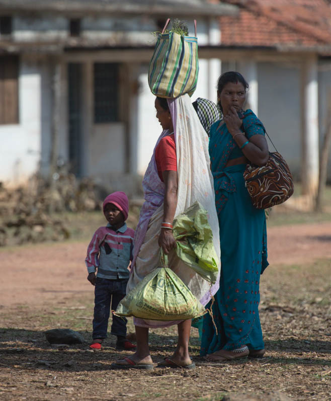 Indian women wearing Saree and carrying shopping bags, one bag carried on head. Bandhavgarh National Park, India, May 2014