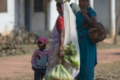 Indian women wearing Saree and carrying shopping bags, one bag carried on head. Bandhavgarh National Park, India, May 2014