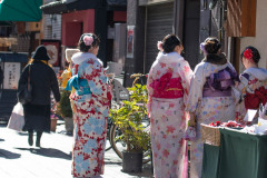 Young Japanese woman dressed in Kimono walking in market, with back to camera, Asakusa, Japan
