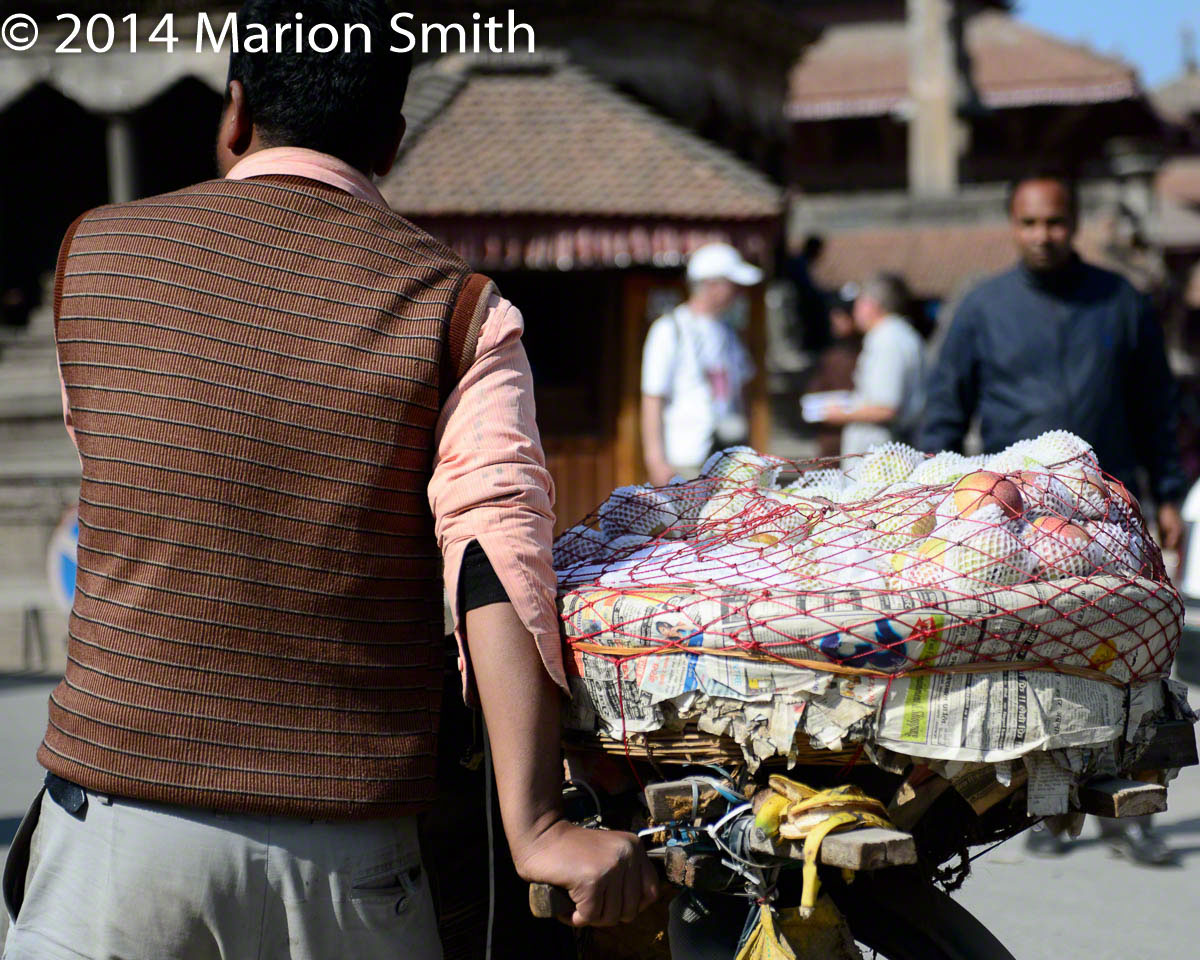 D4 1833